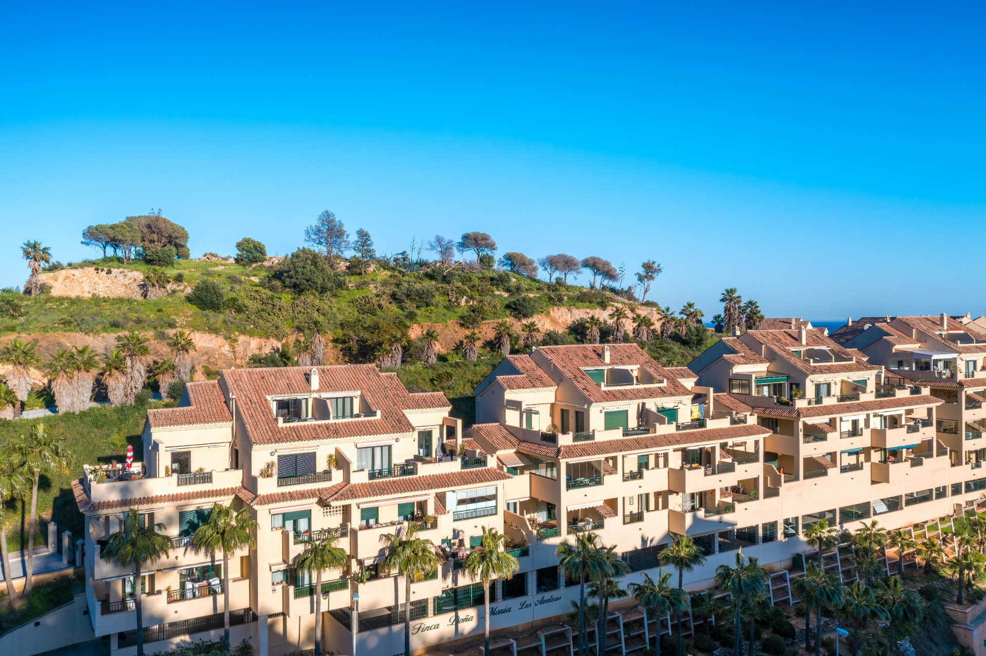 Výhledy z přízemních apartmánů